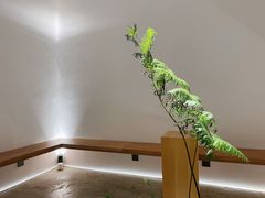-光作面包Voila Lumiere(中山店)