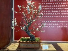 -颐和园