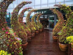 -南通洲际绿博园