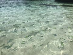 -自然餐厅(Phuket)