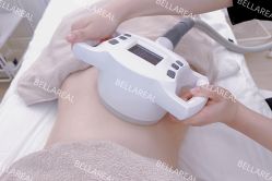 -BELLAREAL新美社