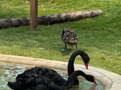 -南戴河国际娱乐中心