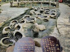 -成都市活水公园