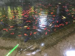-水磨沟公园