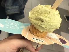 -野人先生现做冰淇淋(西安赛格店)
