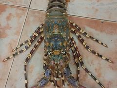 -盛港湾海鲜食府(黄沙店)