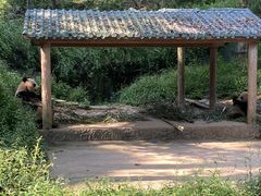 -碧峰峡风景区