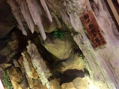 -御池园(顾村公园店)