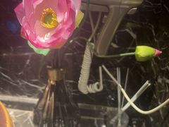 -陆琴脚艺·足浴·SPA(夫子庙店)
