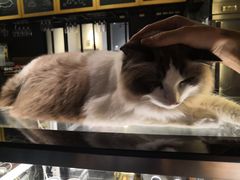 -咖法森林·咖啡  酒吧(天河店)