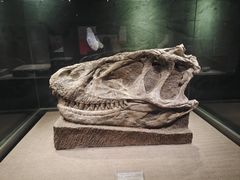 -自贡恐龙博物馆