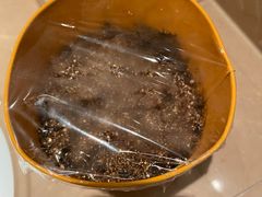 -九木杂物社(恒隆广场店)