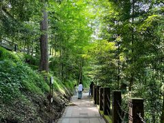 -凤栖山