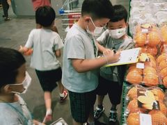 -绿橙国际幼儿园(汤泉逸墅校区)