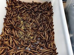 -香坊横道中心市场