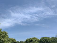 -上海滨江森林公园