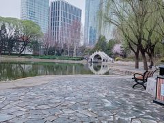 -团结湖公园