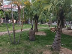 -灵玲国际马戏城