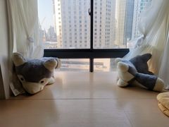 -Husky Go! 哈士奇体验馆·宠物咖啡厅狗咖