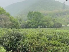 -南北湖风景区