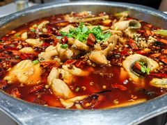 -万和源炝锅城·活鱼现炝(文艺北路店)