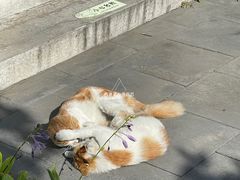 -李叔同故居纪念馆