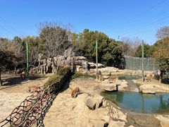 -常州淹城野生动物世界