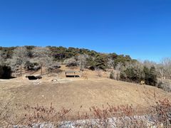 -沈阳森林动物园