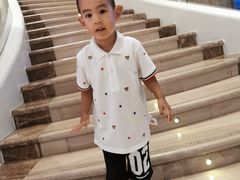 -诺莱仕游艇会