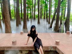 -东湖落雁景区