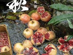 -赵美丽·重庆社区火锅·直营店(火车东站·中豪国际店)