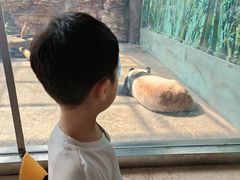 -石家庄市动物园