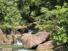 -广州白江湖森林公园