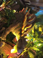 -恐龙探索乐园(磁器口店)