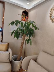 -茜尔维亚修身连锁(八佰伴店)