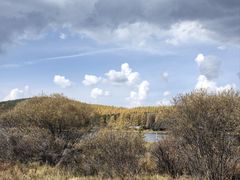 -塞罕坝国家级自然保护区