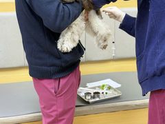 -美联众合动物医院·24h转诊中心