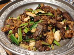 干锅肥肠护心肉-95号酱骨·一块豆腐(展春园西路店)