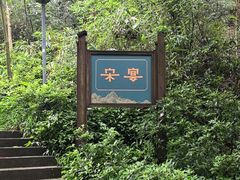 -宋宴(虎跑店)