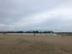 -东郊椰林