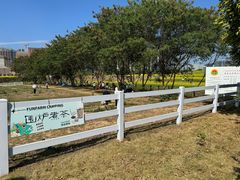 -光明小镇欢乐田园