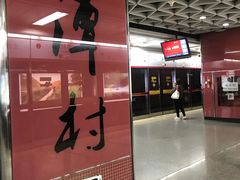 -潭村(地铁站)