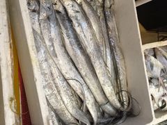 -昌正春天酒店-海鲜餐厅