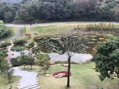 -国恩寺