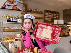-WHEN PIGS FLY当猪飞