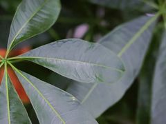 -沕沕水生态风景区