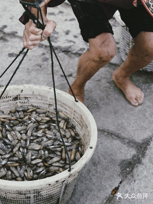洛阳桥图片