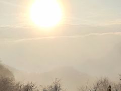 -花水湾红太阳牛肉汤锅