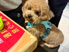 -小饕荟雅安贡椒鱼鲜馆(广福桥店)