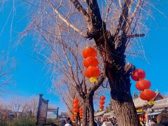 -洛阳白马寺
